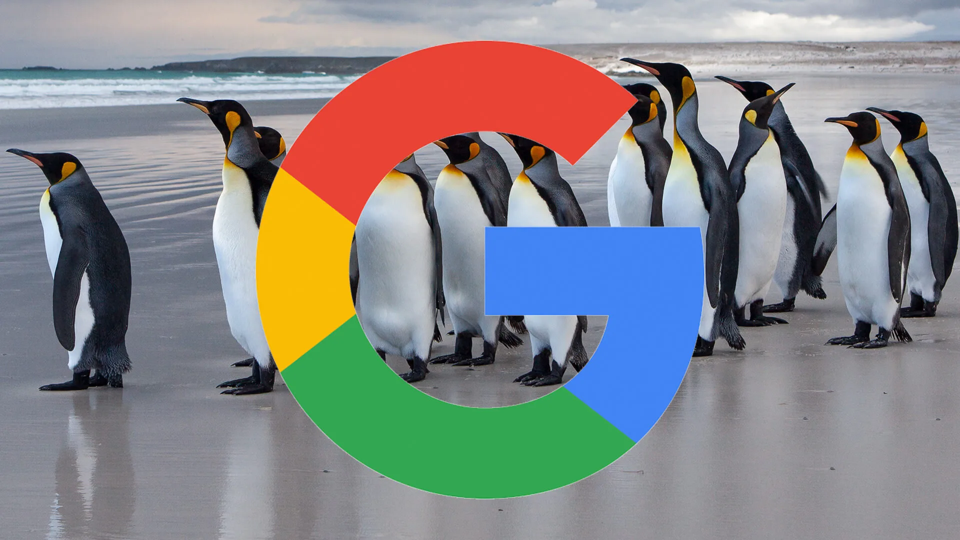 logo google penguin