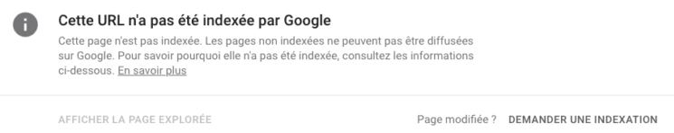 page non indexée search console